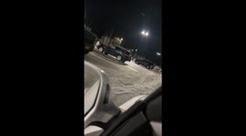 Caribou With Moose Ornament Stuck in Antlers