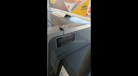 Jumping Spider Scares Me