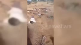 Sudan: Civilians Killed Fleeing Sudan Rebels