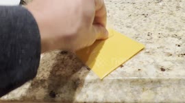 Adorable Bull Mastiff With Really Slow Reflexes Can't Catch Cheese - Or Shake It Off His Face!