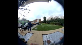 Christmas visit from in‑laws ends in hilarious fall—Ring cam captures unexpected holiday mishap