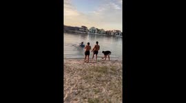 When big brother gets angry you better run away quick