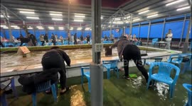 Taiwan: Magnitude 7.0 Earthquake Shakes Northeastern Region