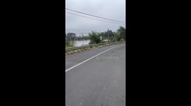 Unbelievable Duck Parade! Perfectly Ordered Flock Stops Traffic in Vietnam