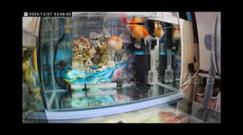 Security Camera Captures Goldfish Tank Sloshing During Taiwan’s Magnitude 7.0 Earthquake