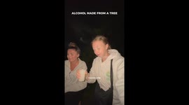 Traveller samples rare Kitul Ra in Sri Lanka’s mountain region