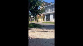 Girls carry dog on hind legs after it escapes in Buenos Aires, Argentina