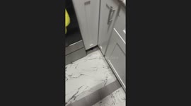 Cats’ hilarious snack time reactions in Milton, Canada