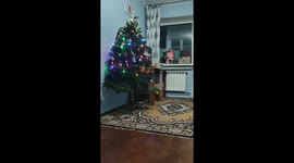 Toddler tips Christmas tree while playing in Ivano-Frankivsk, Ukraine