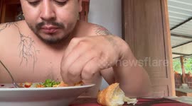 Persistent cat steals bread from the table in El Pangui, Ecuador
