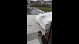 Golden retriever enjoys the rain in a backyard in New York, USA