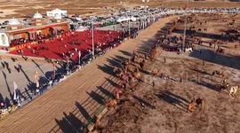 China: Camel 'Super League' kicks off in China's Inner Mongolia