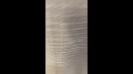 Cat enjoys a shower during bath prep in Lafayette, Indiana, United States