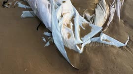 Khan Yunis Tents Damaged By Storms