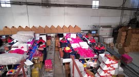 China: Peak apple export season arrives in China as holidays approach