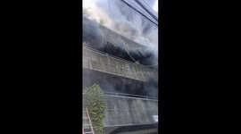 Woman rescues dogs from building fire in Mandaue, Cebu, Philippines