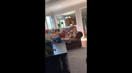 Pit bull whines for more pats from grandmother in USA