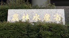 Japan: Hiking prices turn Japanese-style egg rice into luxury