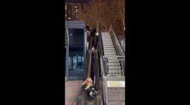 Pet dog plays on slide in public park in China