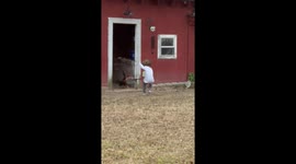 Little Girl Gets Instant Karma for Messing With Rooster
