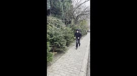 Boy Gets Wrapped Like a Christmas Tree