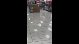 Dog Happily Prances Through Store