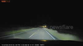 Car Swerves Around Deer Barely Clipping It's Antlers