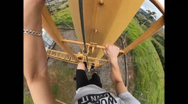 Bee Attack on Antenna Tower