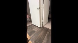 Toddler reacts to playful toilet paper prank in Orlando, Florida, USA