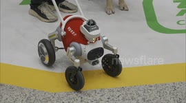 China: Shenzhen Metro pilots robot guide dog service