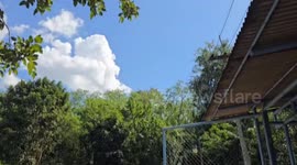 Shocked driver finds thousands of bees swarming inside engine