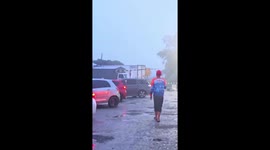 Wild elephant attacks car as driver sleeps inside