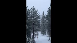 Heavy snowfall blankets Woodland Park, Colorado, USA