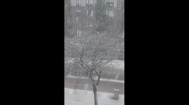 Heavy snowfall during bomb cyclone in downtown Minneapolis, Minnesota, USA