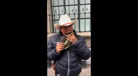 Street performer plays ABBA hit using a LEAF—Instagram clip surpasses 2.5M views
