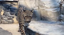 Germany: Berlin Zoo warns New Year's Eve fireworks can distress animals