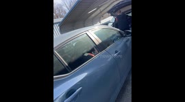 Owner Reunites With Dog for Christmas