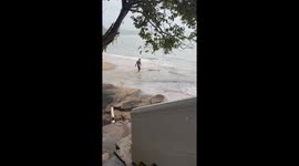 Man Saving a Beached Baby Dolphin While on Holiday