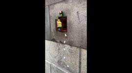 Tiny Mouse House in Madrid Decorated for Christmas