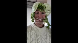 Family in Knoxville embraces pun‑filled Christmas card tradition—lettuce‑themed hymn parody becomes latest creation