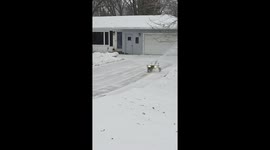 Robot Clears Snow in Driveway
