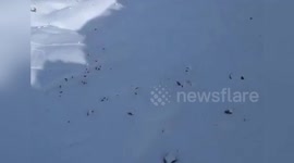 Spain: Deadly Avalanche Kills Three Experienced Mountaineers In Panticosa, Spain