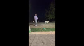 Girl Gets Tripped by Her Dog's Leash