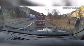 CDOT Crew Rescues Dog Near Busy Mountain Interstate