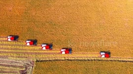 China: China's central rural work conference outlines roadmap for rural revitalization