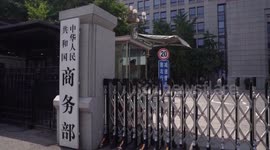 China: China's service imports, exports up 7.1 pct in 11 months