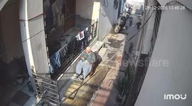 India: Elderly Woman Attacked by a Troop of Monkeys While Sunbathing