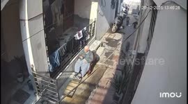 Elderly Woman Mauled by Monkey Gang in Haryana’s Bahadurgarh, Attack Caught on CCTV