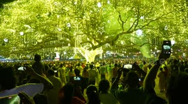 200 Years Old Asia's Biggest Natural Tree illuminated With Thousands Lights In Kerala's Kochi