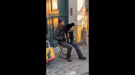 Accordion player with cat delights visitors near Sacré‑Cœur—Paris sunset clip hits 3M views